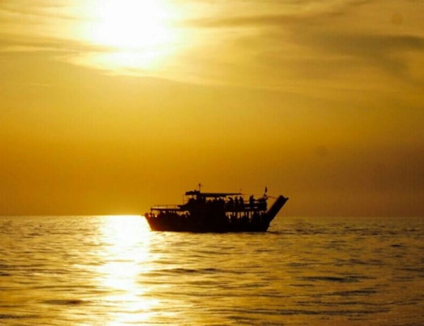 From Poreč: Evening Dolphin Cruise with Welcome Drink - Poreč departure and the first view offshore