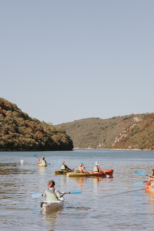 From Poreč: Lim Bay Sea Kayaking Day Trip - Why Lim Bay works so well from a kayak