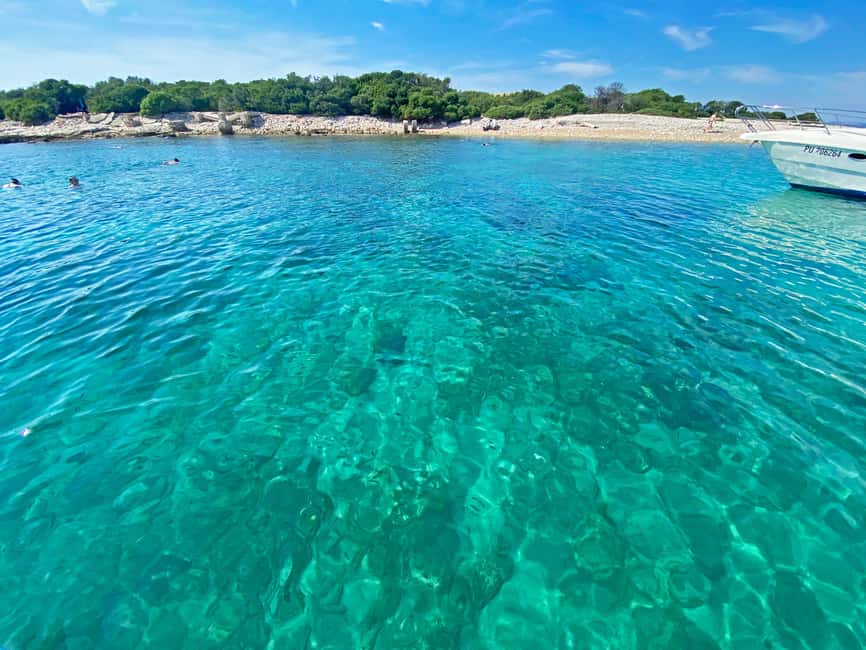 From Pula: Rovinj & NP Brijuni cruise with Red Island visit - A full day on the Istrian coast