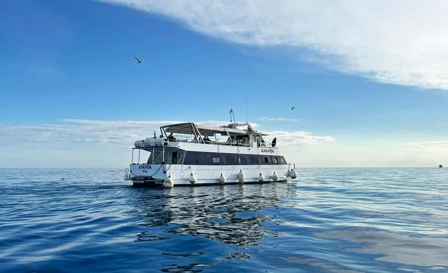 From Pula: Rovinj & NP Brijuni cruise with Red Island visit - Seeing Rovinj from the water, then on foot