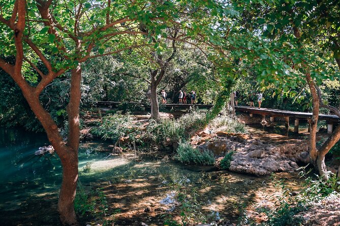 From Split: Krka Waterfalls, Food & Wine Tasting Tour - Guides, timing, and group size