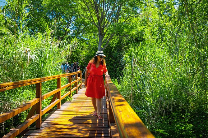 From Split: Krka Waterfalls Tour - How the cost compares with the experience