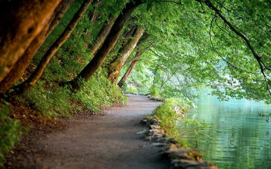 From Split or Trogir: Plitvice Lakes Guided Full-Day Tour - Key points to know before booking