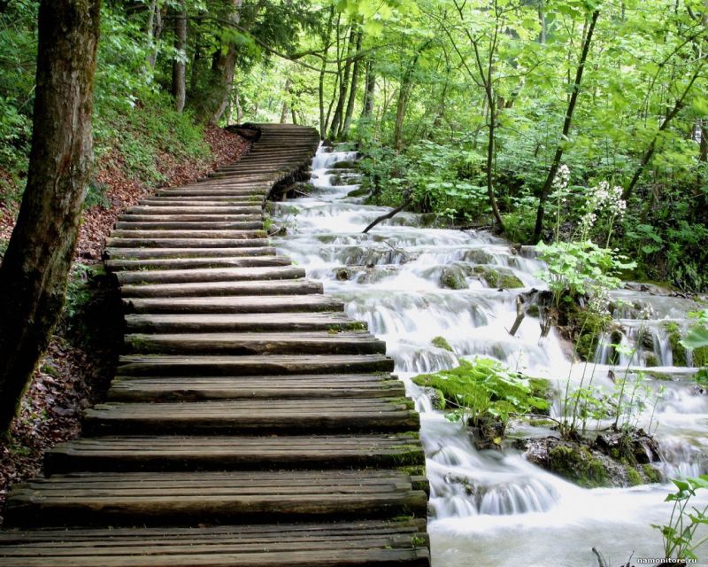 From Split or Trogir: Plitvice Lakes Private Tour - Free time, Prošćansko Lake, and the electric train