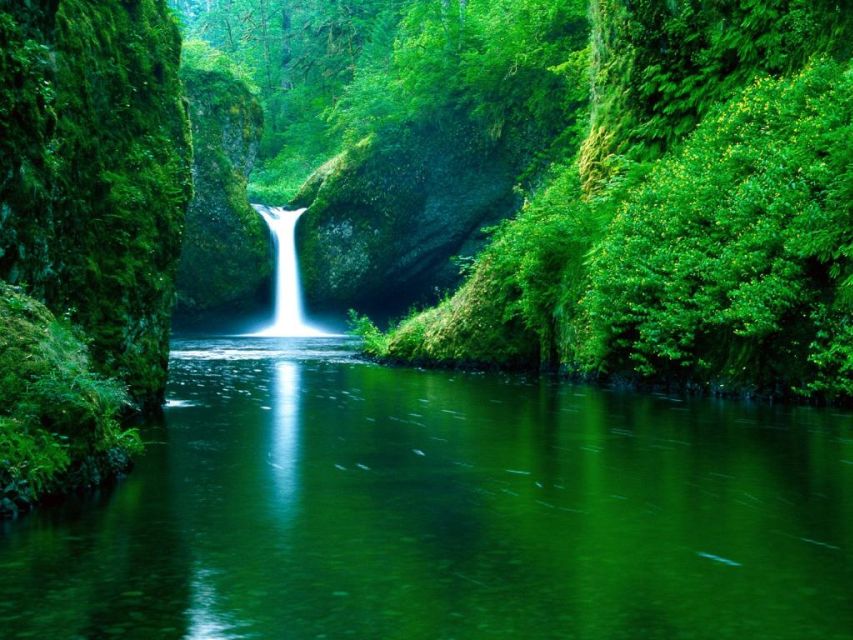 From Split or Trogir: Plitvice Lakes Private Tour - What the $559 price really covers