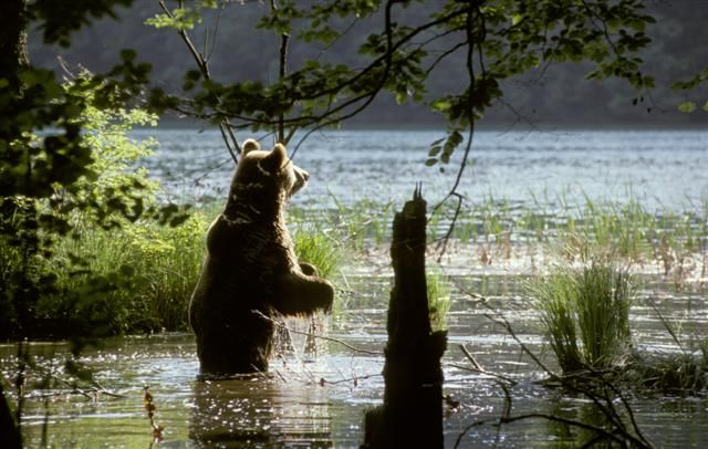 From Split or Trogir: Plitvice Lakes Private Tour - Leaving Split or Trogir for the Lika mountains