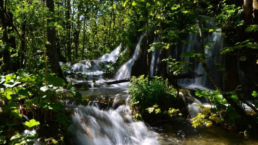 From Split or Trogir: Plitvice Lakes Trip with Entry Ticket - The Kozjak Lake boat ride