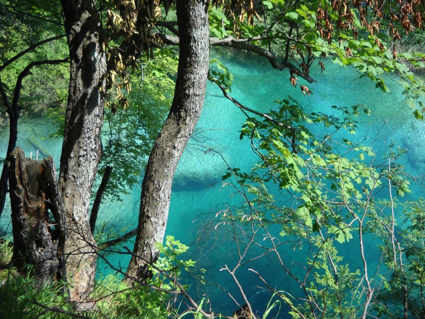 From Split: Plitvice Lakes Full-Day Trip - Weather, clothes, and walking conditions