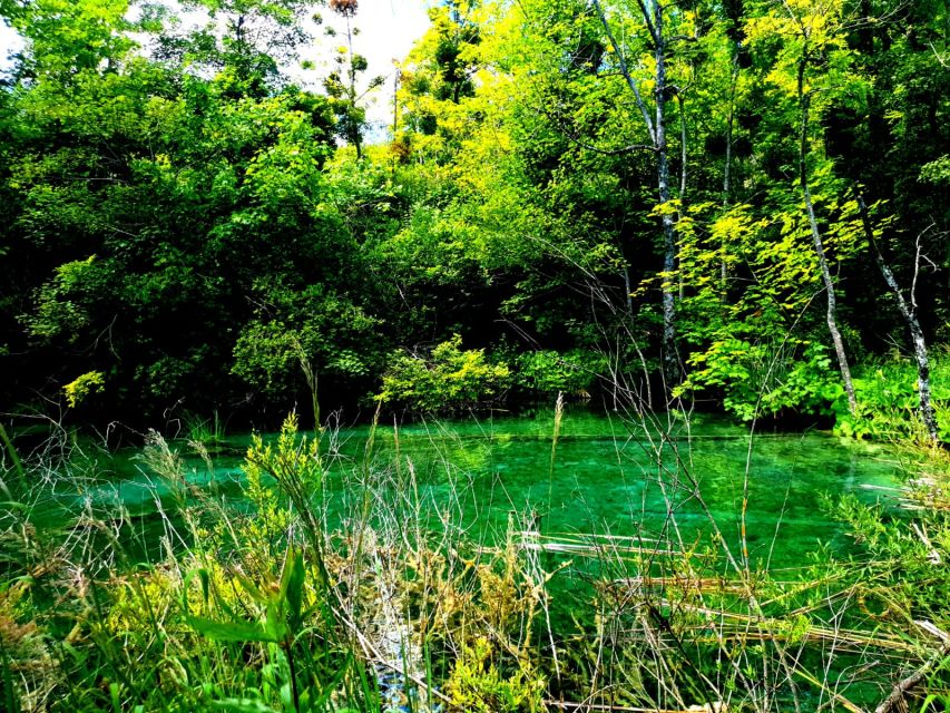 From Split: Plitvice Lakes Full-Day Trip - The guide question: independent visit or escorted walk?