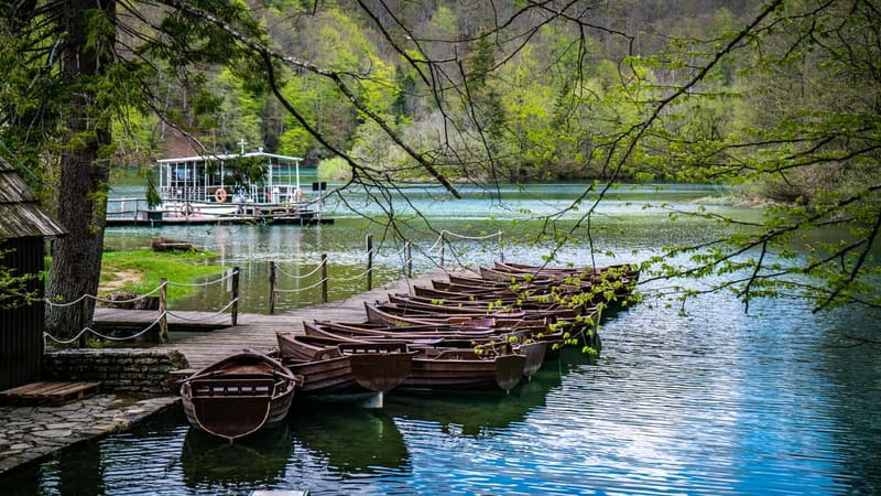 From Split: Plitvice Lakes Guided tour - Key points to know before booking