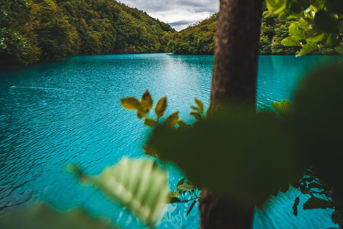 From Split: Plitvice Lakes - Private tour - Is the $786.40 private price good value?