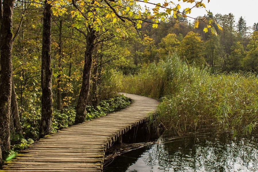 From Split: Private Tour to Plitvice Lakes National Park - The electric boat and panoramic train