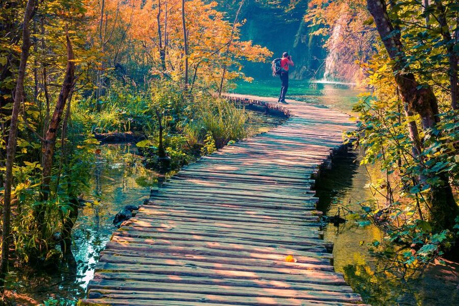 From Split/Trogir/Omiš: Plitvice Lakes Guided Group Tour - Lunch, café stops, and spending money