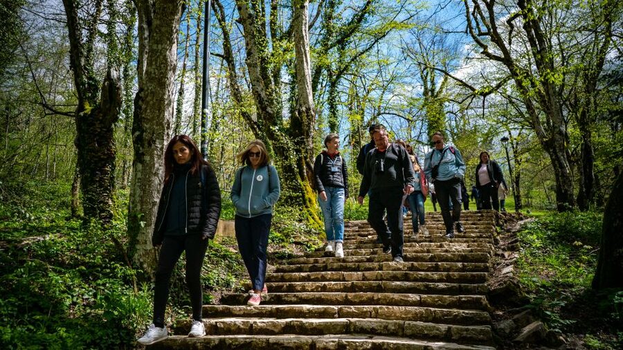 From Split/Trogir/Omiš: Plitvice Lakes Guided Group Tour - Walking the lower and upper lakes