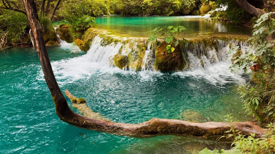 From Trogir, Seget & Okrug: Krka Waterfalls Gastro Tour - Timing, pickup, and the day’s rhythm