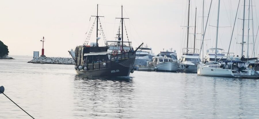 From Vrsar: Boat Trip to Rovinj and Lim Fjord - My recommendation
