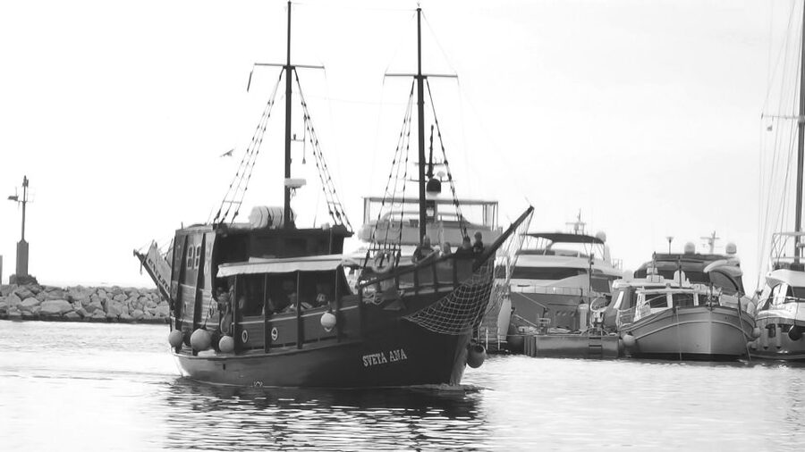 From Vrsar: Boat Trip to Rovinj and Lim Fjord - Is $40 good value?