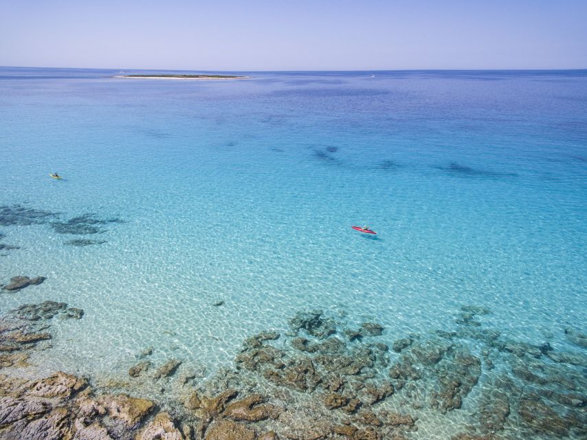 From Zadar: Dugi Otok Half-Day Kayak Adventure - Veli Žal gives you two easy hours