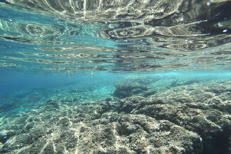 From Zadar: Half/Full Day Sailing Tour - Key points to know before you book