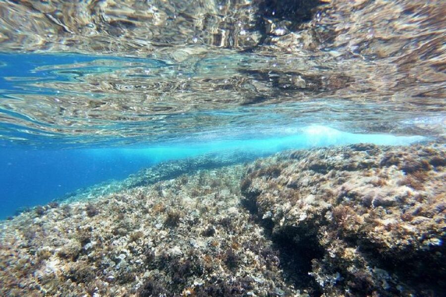 From Zadar: Half/Full Day Sailing Tour - Swimming and snorkeling in the island bays