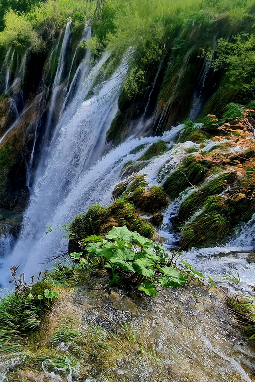 From Zadar: Plitvice Lakes Day Trip with Guide and Boat Tour - The bus ride from Zadar to the park