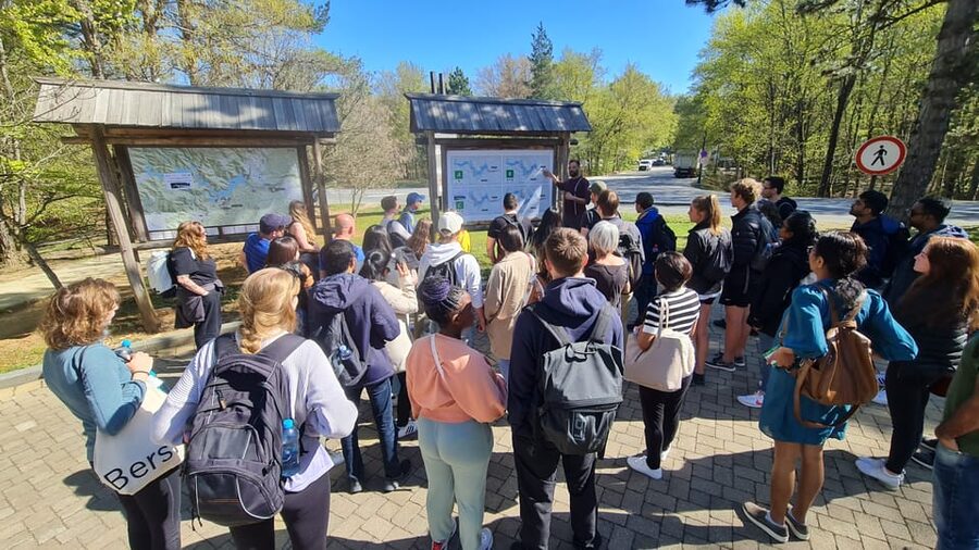 From Zadar: Plitvice Lakes Guided Tour with Boat & Train - Morning or afternoon departure?