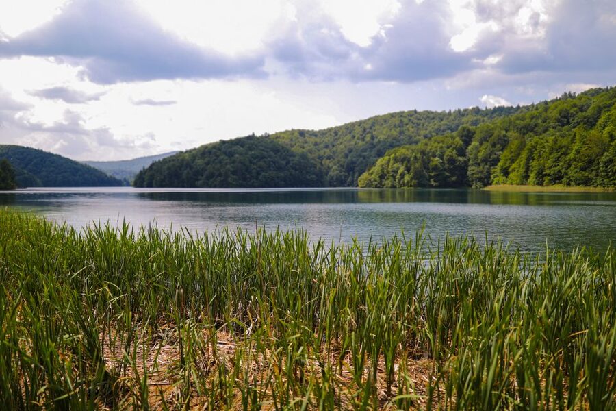 From Zadar: Round-Trip Transfer to Plitvice Lakes - Who should book the Plitvice transfer