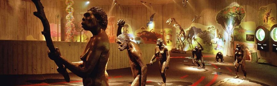 From Zagreb:Discover North Croatia, Museums, Castle and City - Krapina Neanderthal Museum: a strong opening