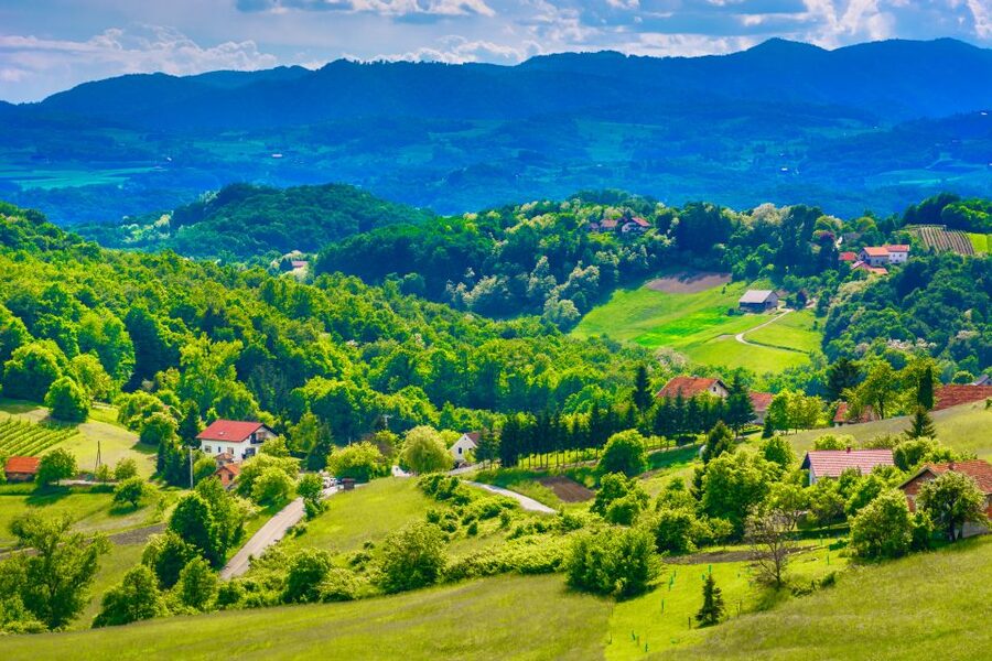 From Zagreb: Fairytale Castle & Wine Tasting & Lunch - Four wines at Vuglec Breg
