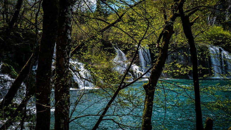 From Zagreb: Plitvice Lakes National Park Full-Day Tour - Lunch, timing, and the return to Zagreb
