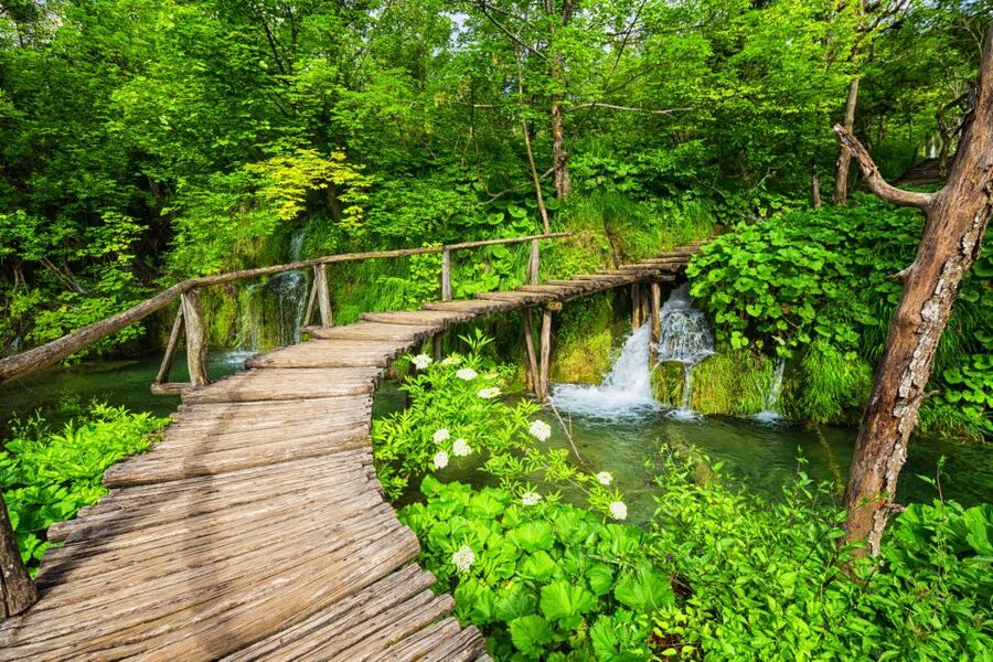 From Zagreb: Plitvice Lakes & Rastoke Private Tour - Who will enjoy this outing most?