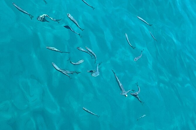 Full Day Boat Tour, Blue Lagoon and Šolta with lunch&drinks - Nečujam Bay and the Kontesa wreck