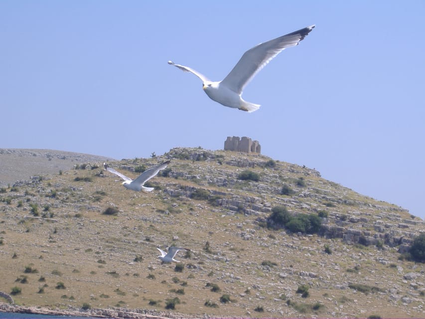 Full-day boat trip from Zadar and Sukošan to Kornati NP - Grilled lunch, Croatian wine, and watermelon