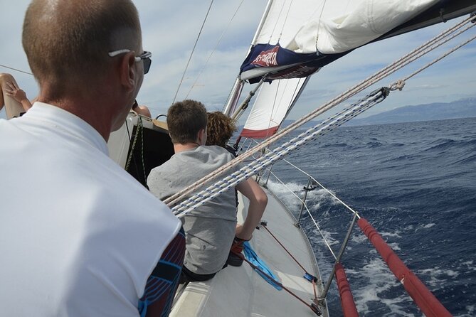 Full-Day Small-Group Dalmatian Coast Sailing Cruise from Split - Swimming in Clear Croatian Water