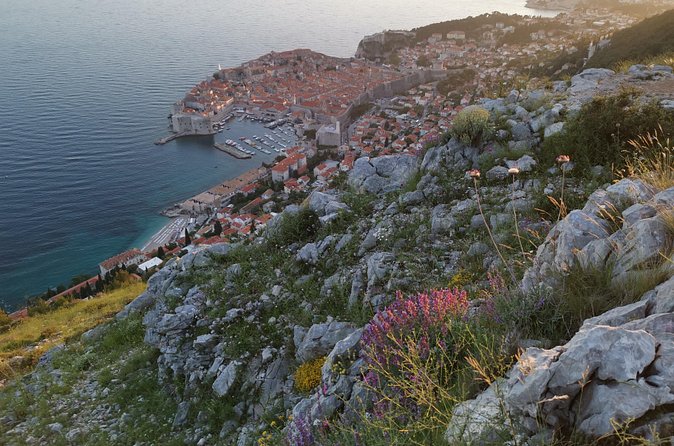 Game of Thrones Driving Tour - Trsteno Arboretum: King’s Landing gardens for one hour