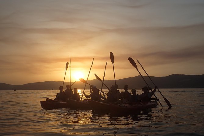 Half-Day Split Sea Kayak Adventure - Is $59.95 good value for four hours?