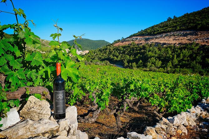 Half Day Tour - Deep and Dark Red Wine of Pelješac - Mali Ston and oysters fresh from the sea