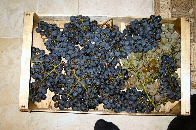 Half Day Tour - Deep and Dark Red Wine of Pelješac - What the $177.52 price really buys you