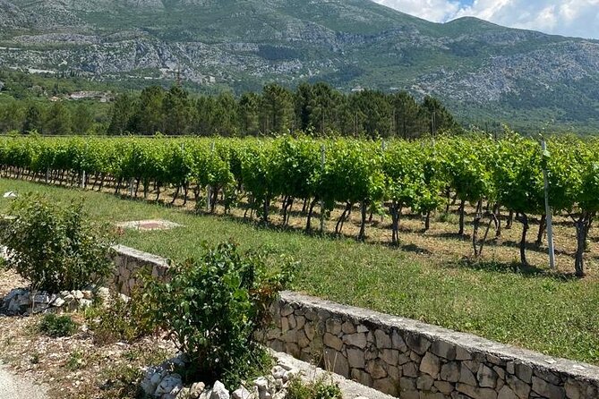 Half-Day Wine and Food Tasting from Dubrovnik - Who will enjoy this most?