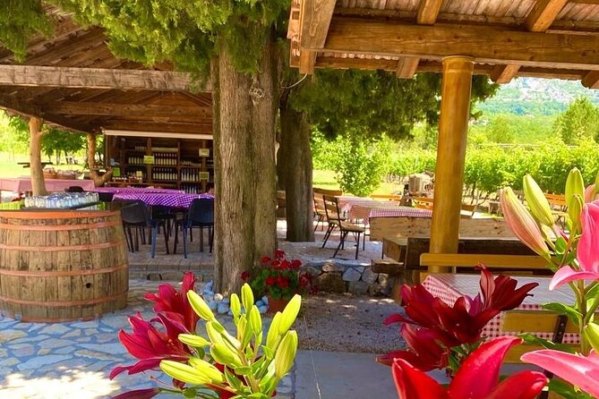 Half-Day Wine and Food Tasting from Dubrovnik - What the 2 pm departure really means