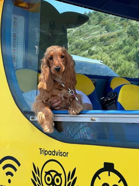 Hop-On Hop-Off Yellow Cabrio Tour: See Dubrovnik in 90mins - What the guide adds