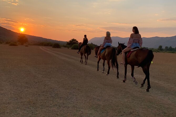 Horseback Riding Across River Ljuta with transport - The River Ljuta ride is the real reason to go