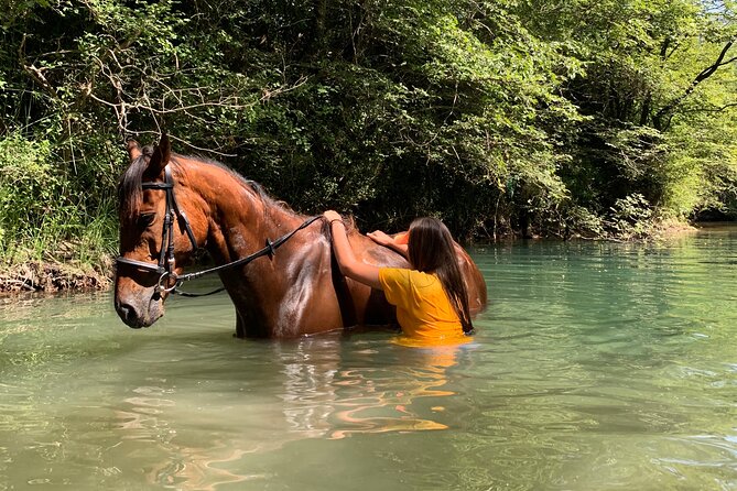 Horseback Riding Across River Ljuta with transport - Transport and the four-and-a-half-hour schedule