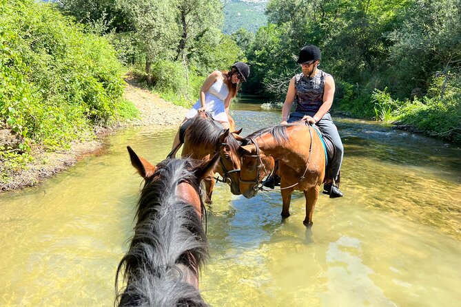 Horseback Riding Across River Ljuta with transport - Is $230.36 a fair price?