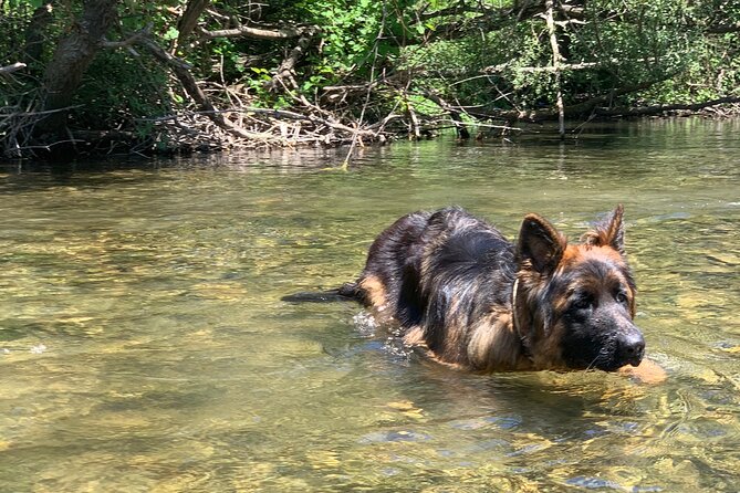 Horseback Riding Across River Ljuta with transport - Fitness, comfort, and the water section