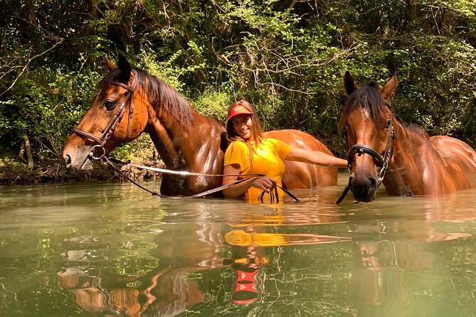Horseback Riding Across River Ljuta with transport - How the experience compares with a typical Dubrovnik day