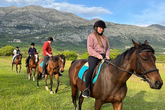 Horseback Riding Experience with transport from Dubrovnik - Leaving Dubrovnik for the Konavle countryside