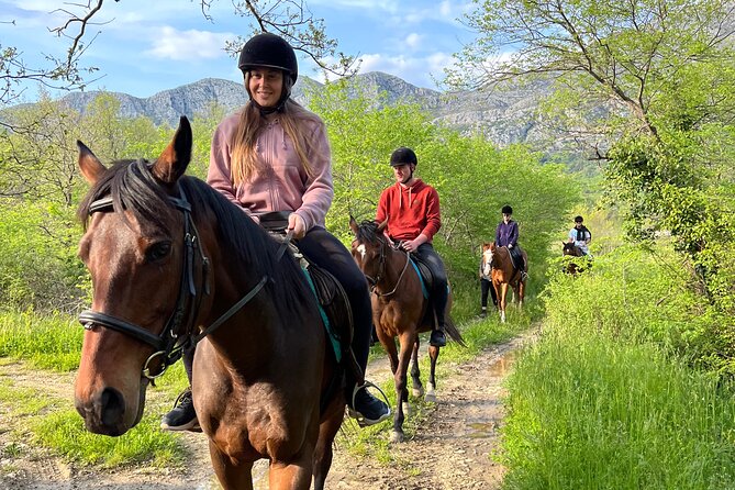 Horseback Riding Experience with transport from Dubrovnik - Meeting the horses at Mali Raj