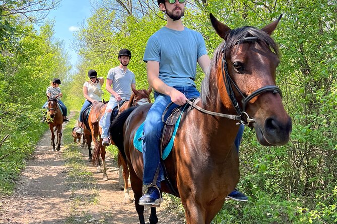 Horseback Riding Experience with transport from Dubrovnik - Who should book this ride