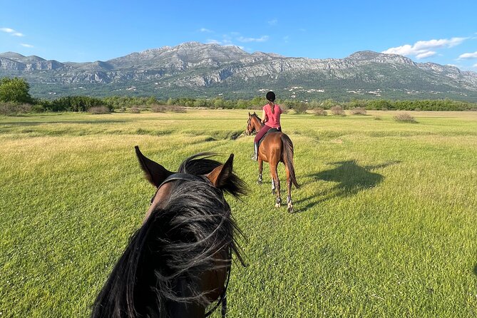 Horseback Riding Experience with transport from Dubrovnik - Why the scenery works so well